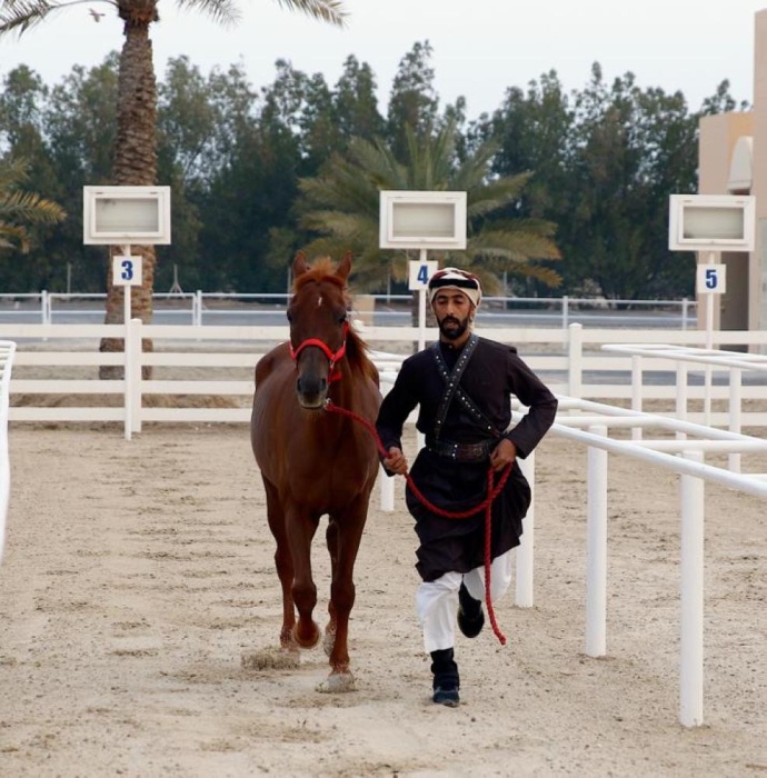 المعمري والنعيمي يتأهلان لنهائي مسابقة فارس الموروث