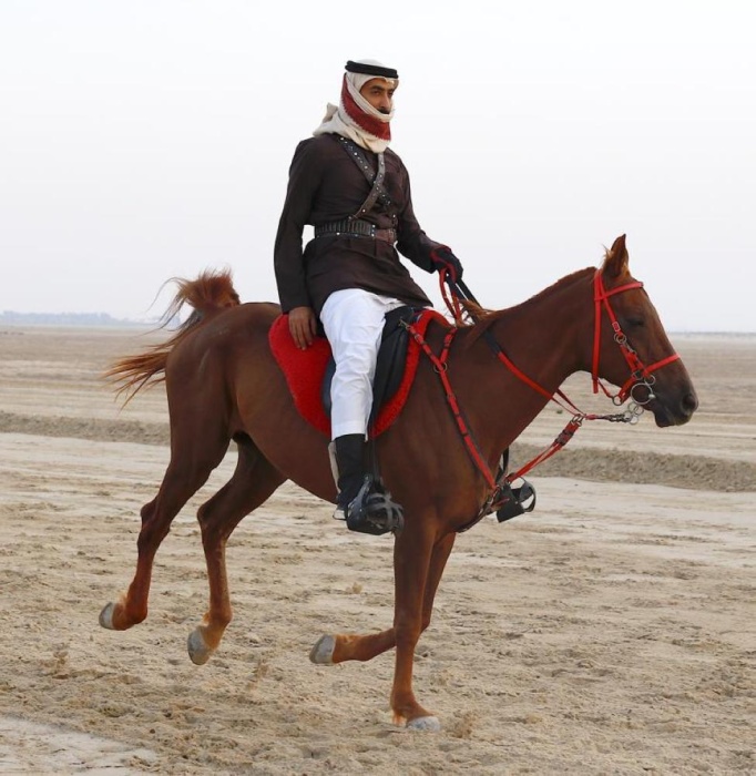 المعمري والنعيمي يتأهلان لنهائي مسابقة فارس الموروث