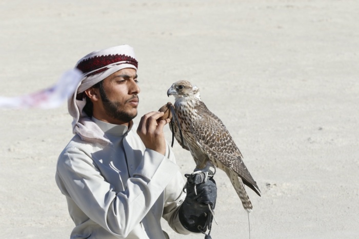 "ثالثة فارس الموروث" تنهي مرحلة الهجن والصقور