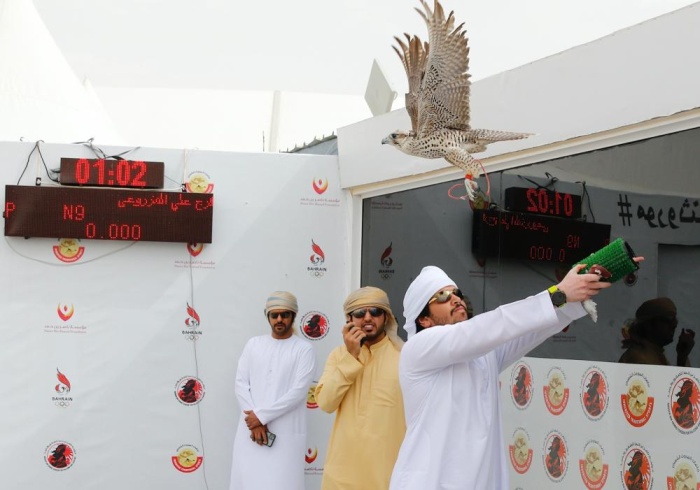 صقارو الإمارات يتألقون في بطولة ناصر بن حمد الدولية