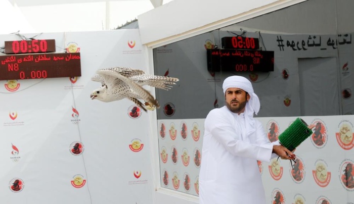 صقارو الإمارات يتألقون في بطولة ناصر بن حمد الدولية