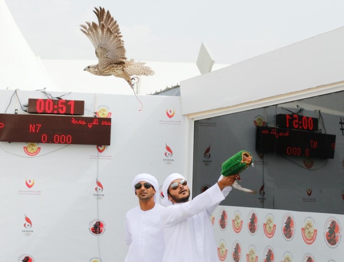 صقارو الإمارات يتألقون في بطولة ناصر بن حمد الدولية