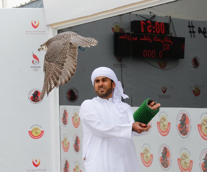 صقارو الإمارات يتألقون في بطولة ناصر بن حمد الدولية