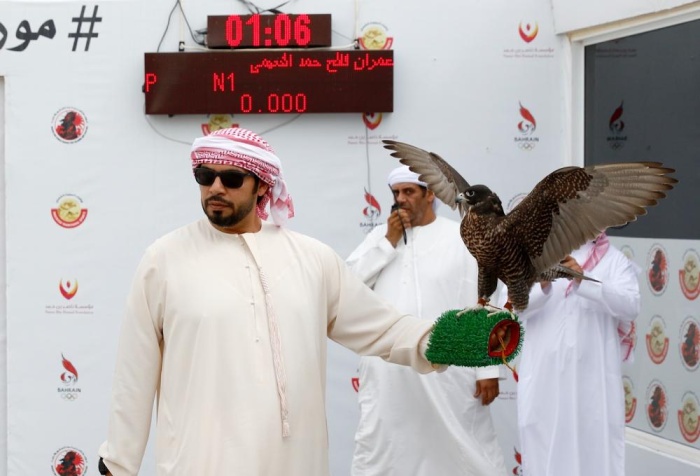 صقارو الإمارات يتألقون في بطولة ناصر بن حمد الدولية