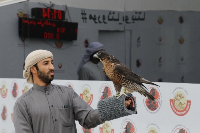 صقارو الإمارات يتألقون في بطولة ناصر بن حمد الدولية