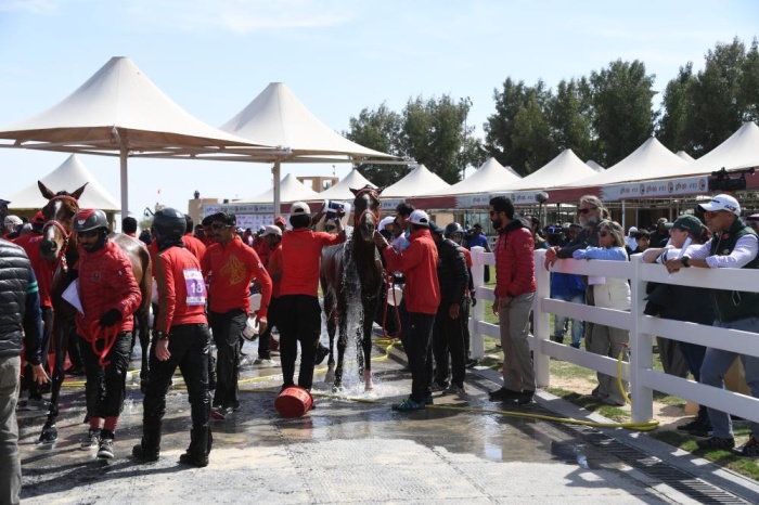 قرية البحرين للقدرة تتزين لانطلاق أغلى السباقات