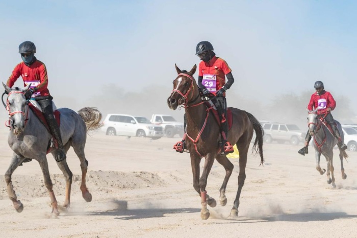 قرية البحرين للقدرة تتزين لانطلاق أغلى السباقات