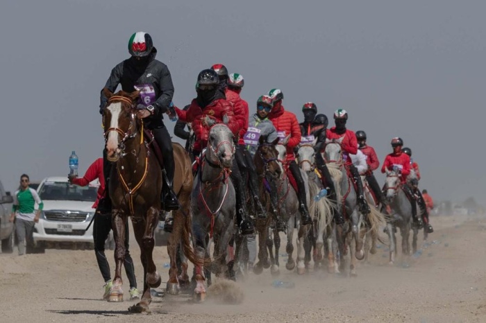 قرية البحرين للقدرة تتزين لانطلاق أغلى السباقات