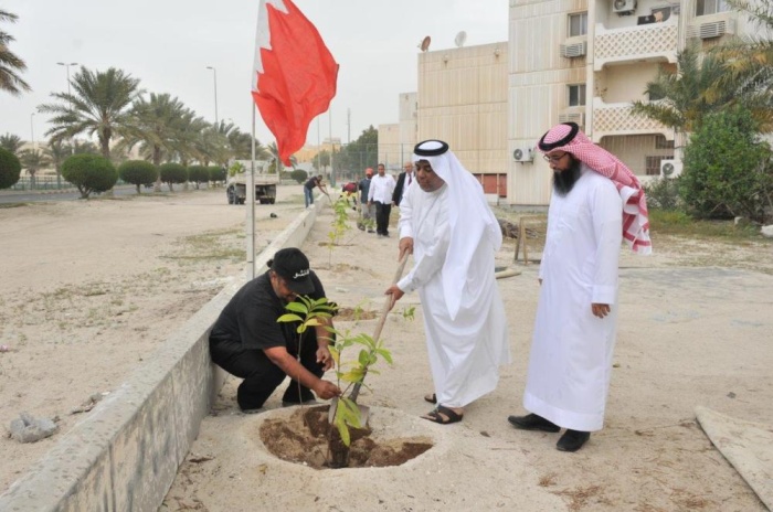 بلدية المحرق: زراعة 300 شجرة مظللة في "إسكان البسيتين"