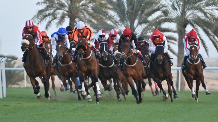 67 جواداً في السباق الـ19 على كؤوس بنك البحرين الوطني