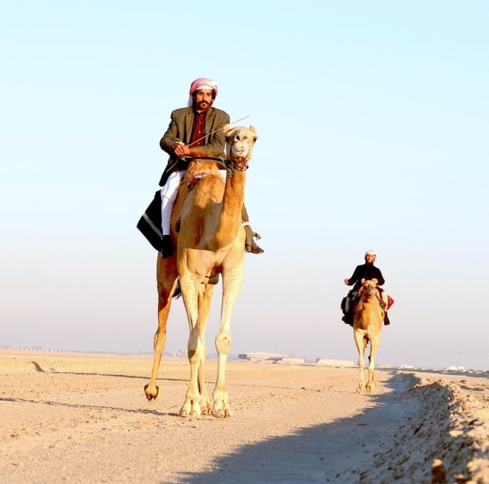 ثمانية متنافسين في نهائي فارس الموروث