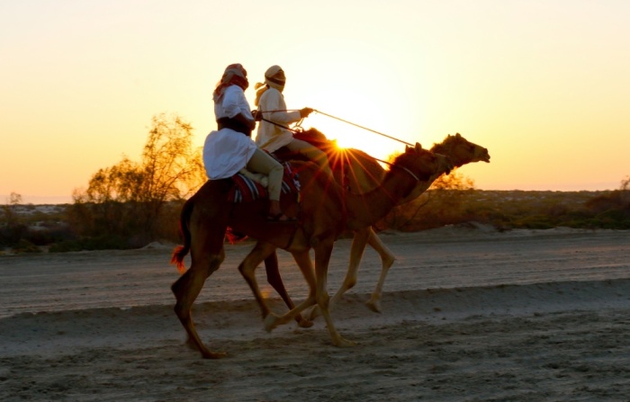 8 متسابقين يقضون 30 ساعة لحصد لقب "فارس الموروث"