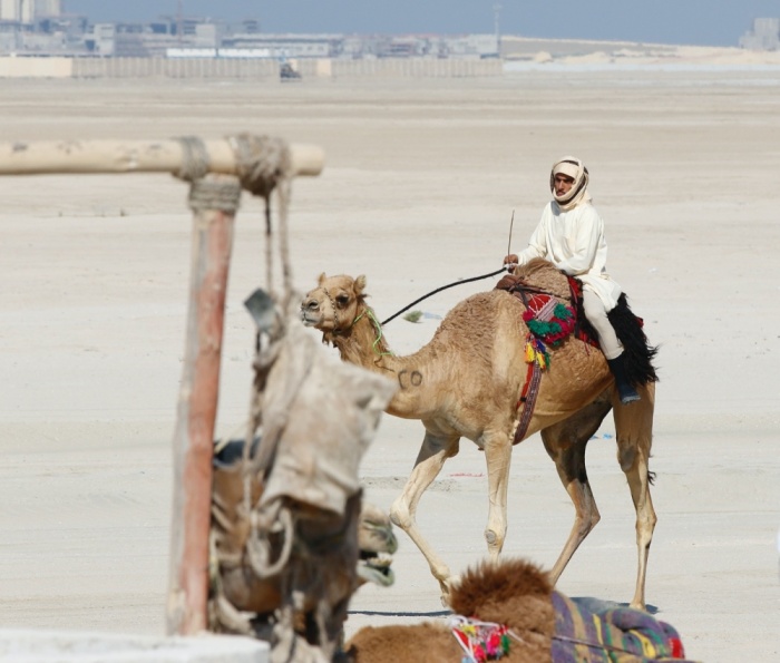 8 متسابقين يقضون 30 ساعة لحصد لقب "فارس الموروث"