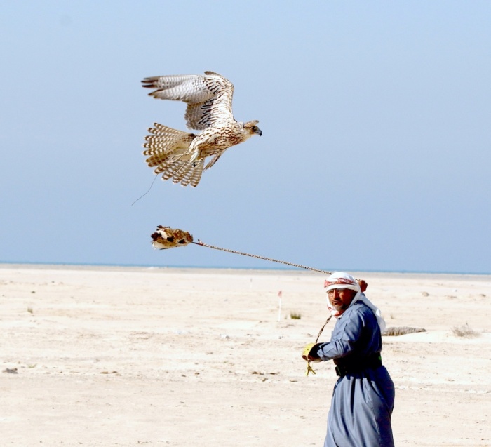 8 متسابقين يقضون 30 ساعة لحصد لقب "فارس الموروث"