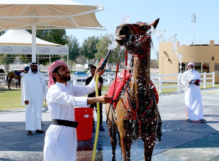 8 متسابقين يقضون 30 ساعة لحصد لقب "فارس الموروث"