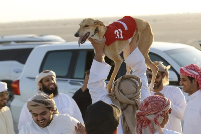 تألق بحريني إماراتي في سباق مهد السلوقي العربي للخليجيين