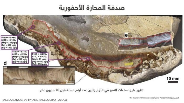 "صدفة" تكشف أن نهار الأرض كان أقصر