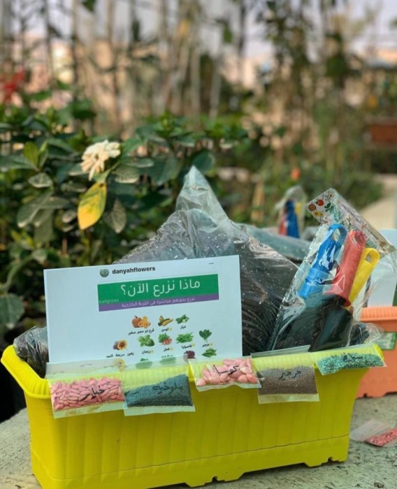 مواطنون : أزمة "كورونا" جعلت زراعة المنزل فرصة لخلق ثقافة مخزون غذائي فردي