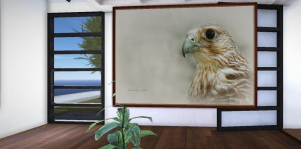 &laquo;تراث البحرين&raquo; إلى العالم عبر معرض تصوير إلكتروني