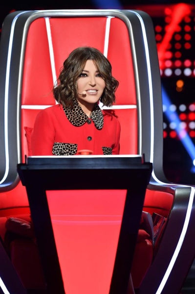 7 حلقات و3 مراحل.. من يفوز في "The Voice Senior"؟