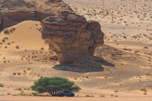 تعرف على "العلا".. متحف الحضارات العربية القديمة