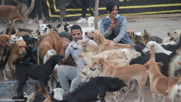 حفلات موسيقية وسفر.. ملاجئ للحيوانات قرب أهرامات الجيزة