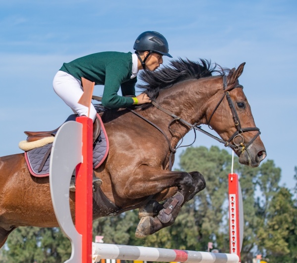 الرميحي يحرز لقب المسابقة الأولى وأصغر يكسب لقب الثانية في ثالث بطولات موسم قفز الحواجز