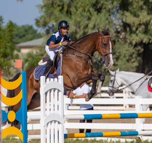 الرميحي يحرز لقب المسابقة الأولى وأصغر يكسب لقب الثانية في ثالث بطولات موسم قفز الحواجز