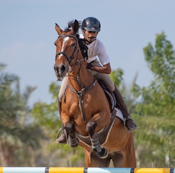 بالصور.. معيوف الرميحي يكسب الرهان ويخطف لقب المسابقة الكبرى لقفز الحواجز