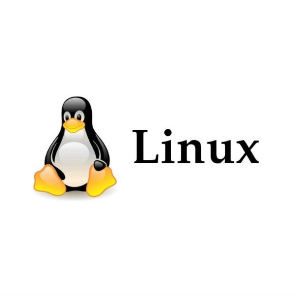 لينكس / linux