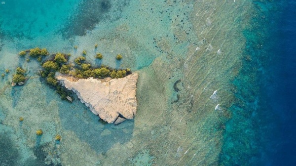 تبوك.. محطة تاريخية تجمع بين الصحراء والجبل والبحر