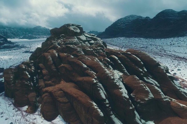 بالصور.. الزائر الأبيض في شمال السعودية