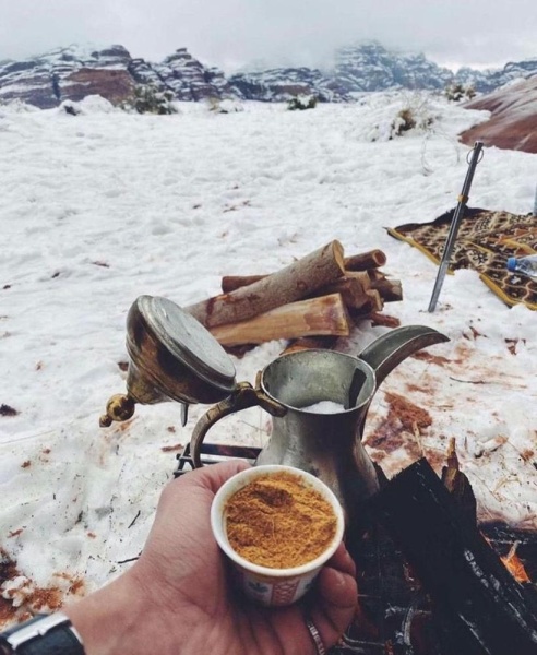 بالصور.. الزائر الأبيض في شمال السعودية