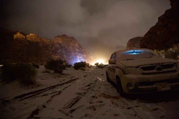 بالصور.. الزائر الأبيض في شمال السعودية