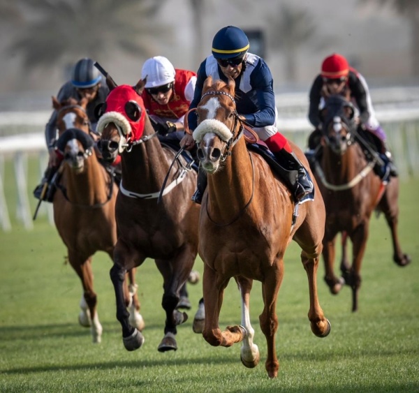 89 جواداً يتنافسون اليوم على كؤوس بنك البحرين والكويت وتايلوس