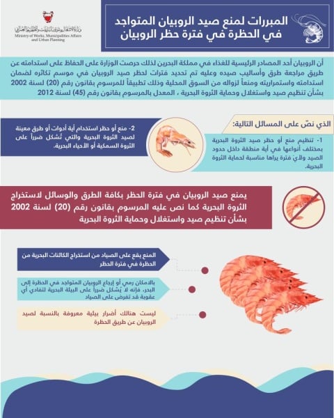 خلف: عدد من الخطوات والإجراءات في سبيل تحقيق أمن غذائي وطني مستدام