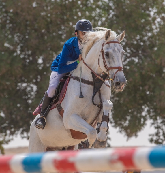 الرميحي يكسب لقب مسابقة قفز الحواجز الأولى.. وأصغر يعود لمنصة التتويج بالمركز الأول في المسابقة الثانية