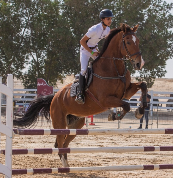 الرميحي يكسب لقب مسابقة قفز الحواجز الأولى.. وأصغر يعود لمنصة التتويج بالمركز الأول في المسابقة الثانية