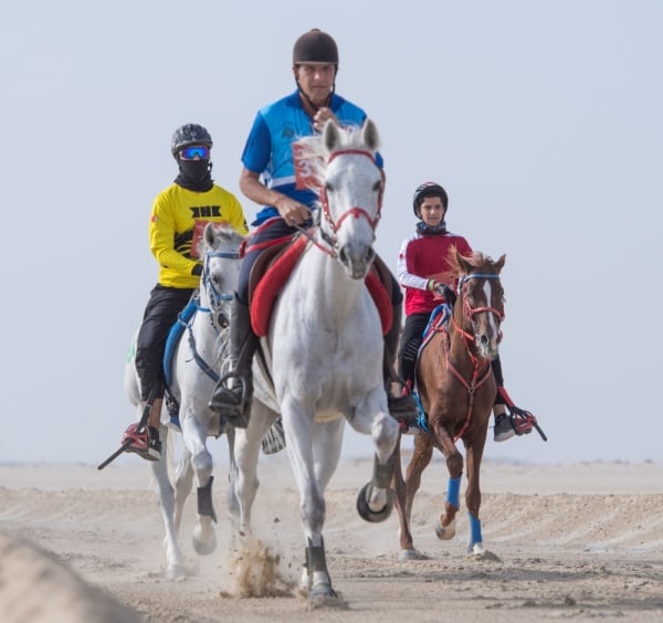 ناصر بن حمد يعرب عن سعادته بمشاركة 257 من الجياد في سباقات كأس سموه للقدرة