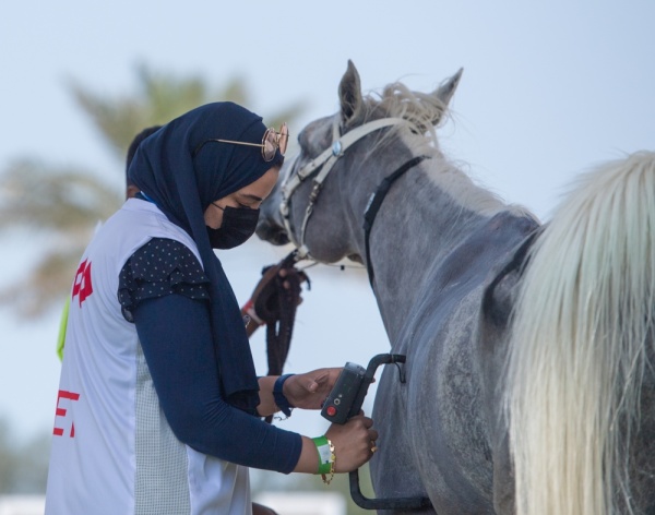 ناصر بن حمد يتابع بطولة سموه للقدرة وينيب فيصل بن راشد لتتويج الأبطال