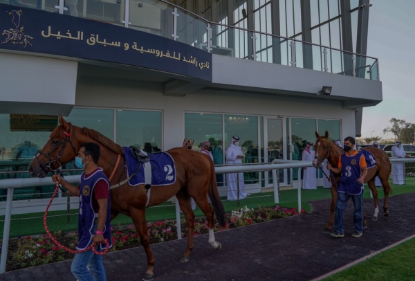 إنتصارات مثيرة بكؤوس STC وراشد بن محمد واليوم سباق كؤوس الحصان العربي ومصانع تايلوس