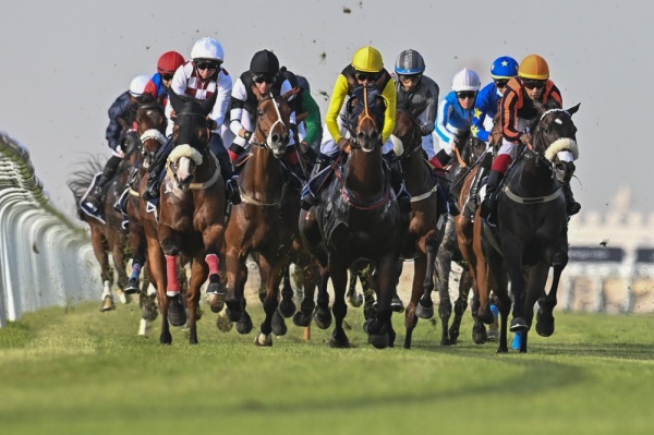 إنتصارات مثيرة بكؤوس STC وراشد بن محمد واليوم سباق كؤوس الحصان العربي ومصانع تايلوس