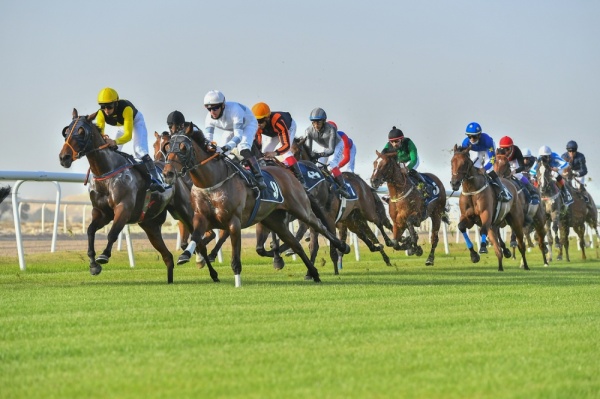 إنتصارات مثيرة بكؤوس STC وراشد بن محمد واليوم سباق كؤوس الحصان العربي ومصانع تايلوس