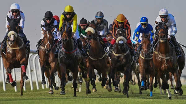 إنتصارات مثيرة بكؤوس STC وراشد بن محمد واليوم سباق كؤوس الحصان العربي ومصانع تايلوس