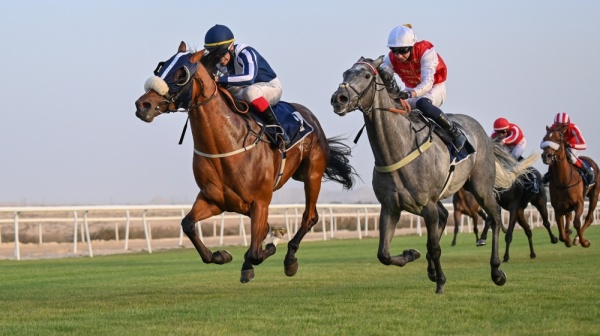 إنتصارات مثيرة بكؤوس STC وراشد بن محمد واليوم سباق كؤوس الحصان العربي ومصانع تايلوس