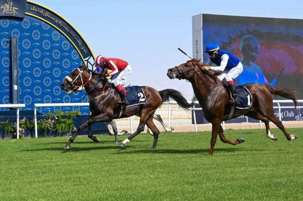 إنتصارات مثيرة بكؤوس STC وراشد بن محمد واليوم سباق كؤوس الحصان العربي ومصانع تايلوس