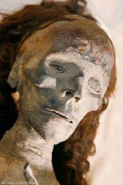 لماذا ظل شعر الملكة "تي" محتفظا بجماله بعد آلاف السنين؟