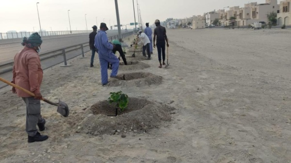 الجودر: البدء بأعمال المرحلة الثانية من مشروع تأهيل وزراعة شارع المحرق الدائري