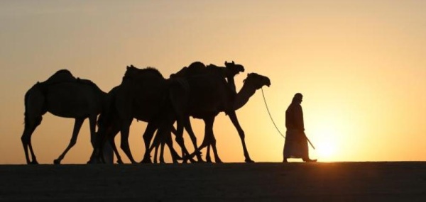 هجرة المسلمين إلى المدينة المنورة