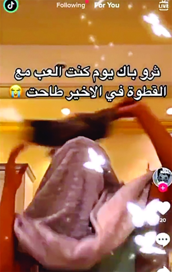 شخص يُعذب قِطة بداعي الكوميديا